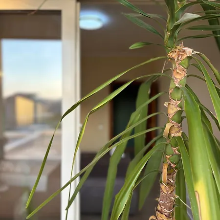 Next To Blloku 2-bdr Spacious Daire Tiran